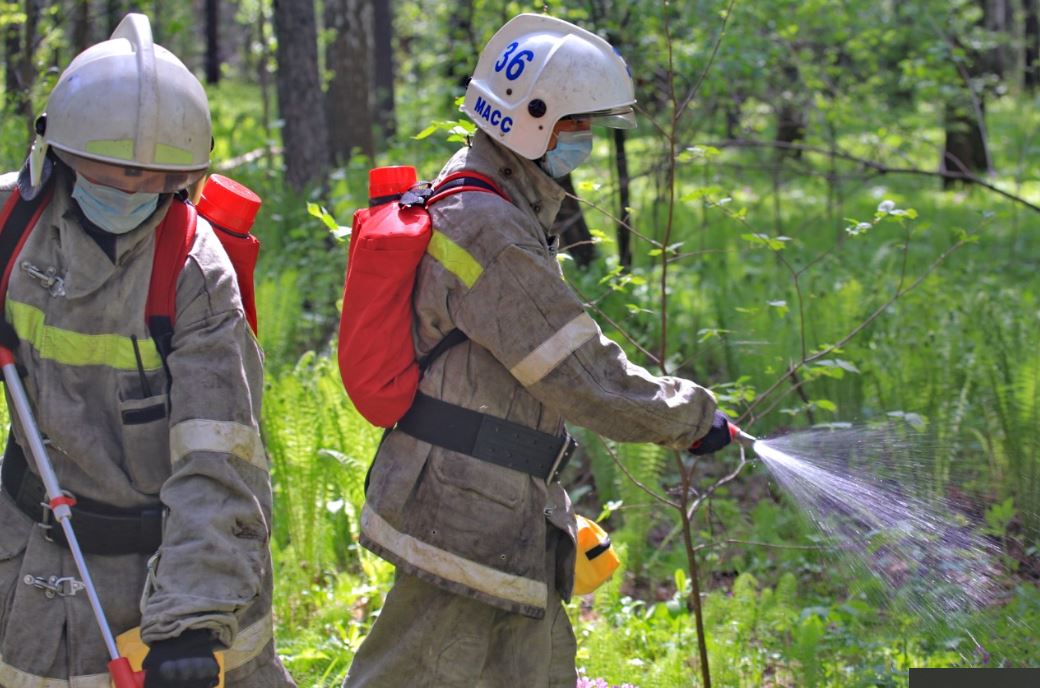 Мэр Новосибирска проинспективал принимаемые меры для предотвращения лесных пожаров