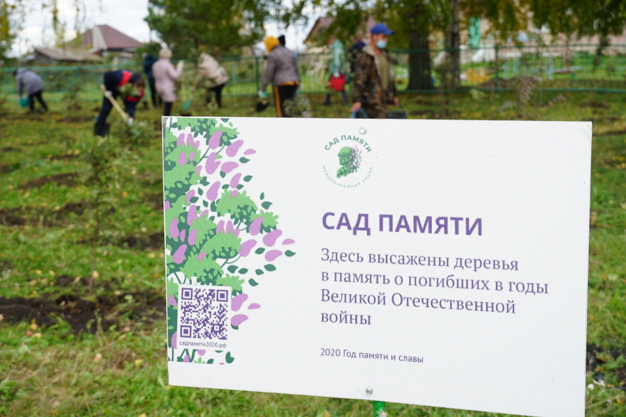 Сотрудники «Кузбассразрезугля» высадили почти 400 рябин в память о павших на войне земляках