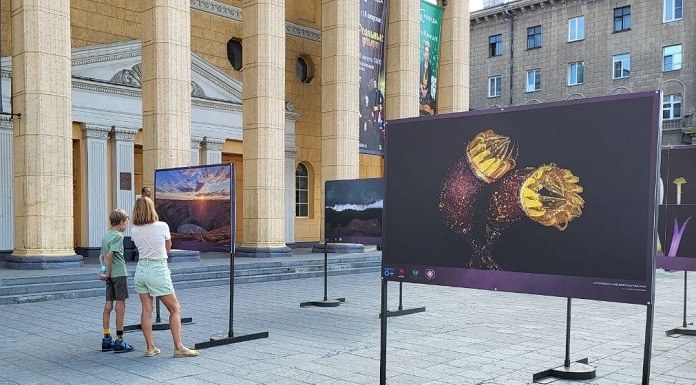 Стали известны подробности программы фестиваля научного кино «Кремний» в Новосибирске