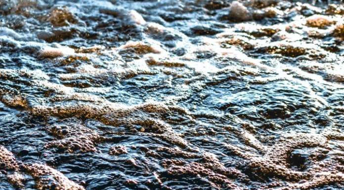 Началась доследственная проверка по факту разлива нефтепродуктов на реки Томь