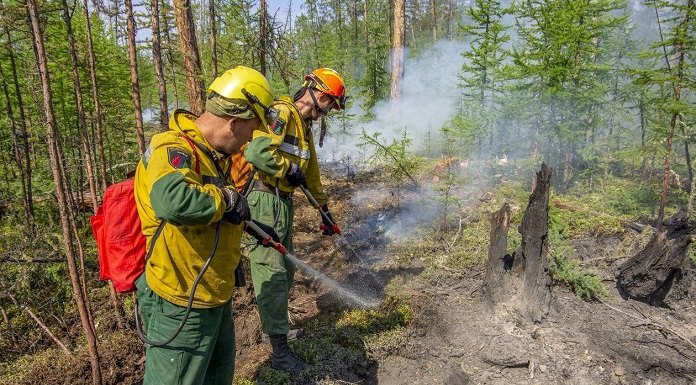 Авиалесоохрана ликвидировала почти 6 сотен лесных пожаров за прошедшую неделю