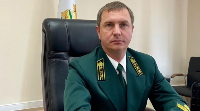 Стало известно имя нового начальника департамента природных ресурсов Томской области